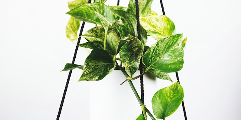 英格兰足球超级联赛比赛现场，座无虚席的球场与激烈拼抢的球员